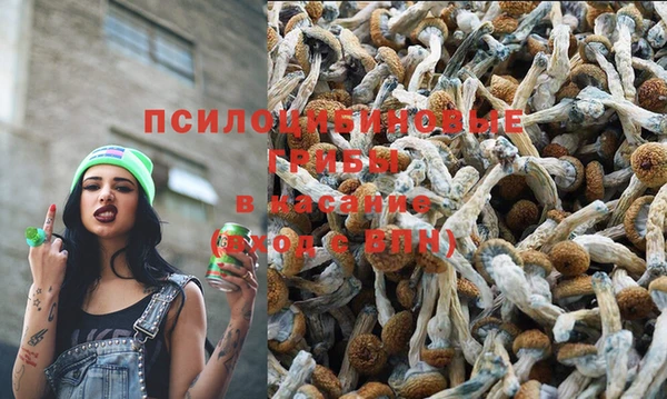 сатива Алексеевка
