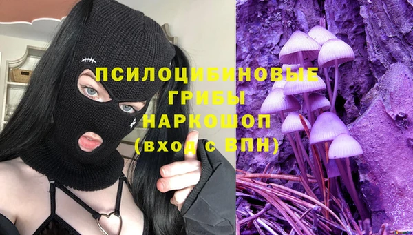 сатива Алексеевка