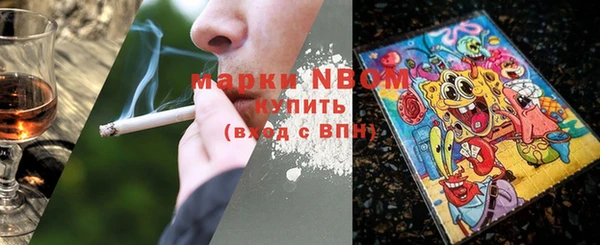 PSILOCYBIN Алзамай