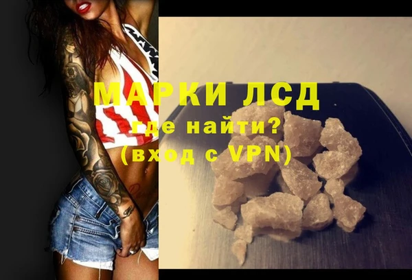 PSILOCYBIN Алзамай