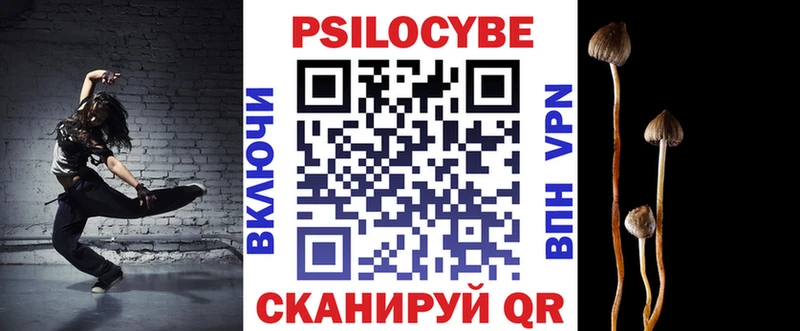 KRAKEN ССЫЛКА  купить  цена  Сочи  Галлюциногенные грибы Magic Shrooms 